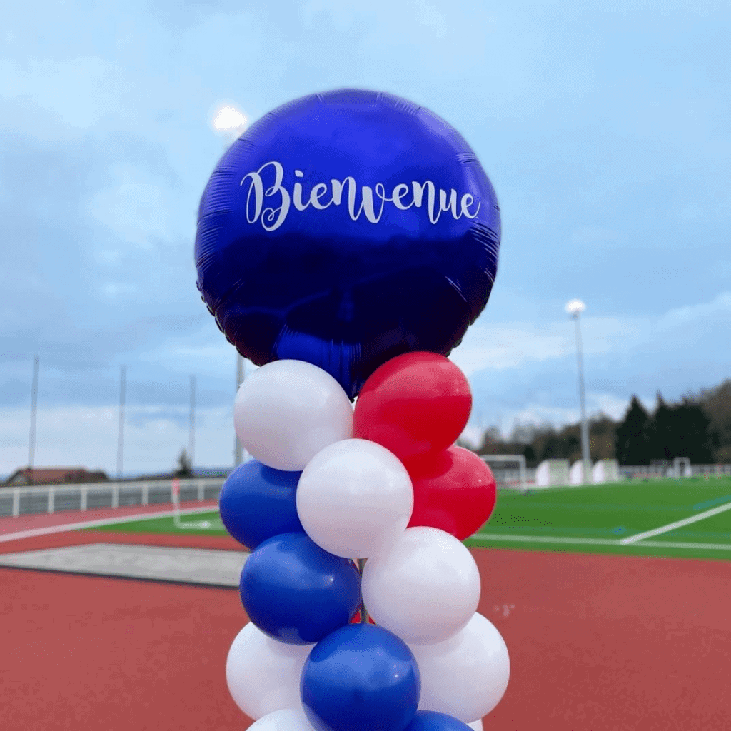 Préparez la Coupe du Monde de Rugby ! - Pic-Event