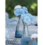 Pic-Event Location vase alexandrine verre transparent